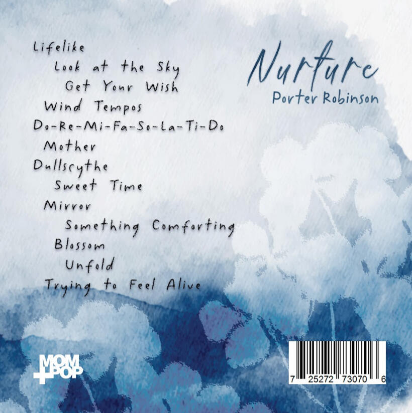 Back Album Cover Porter Robinson (not real!)