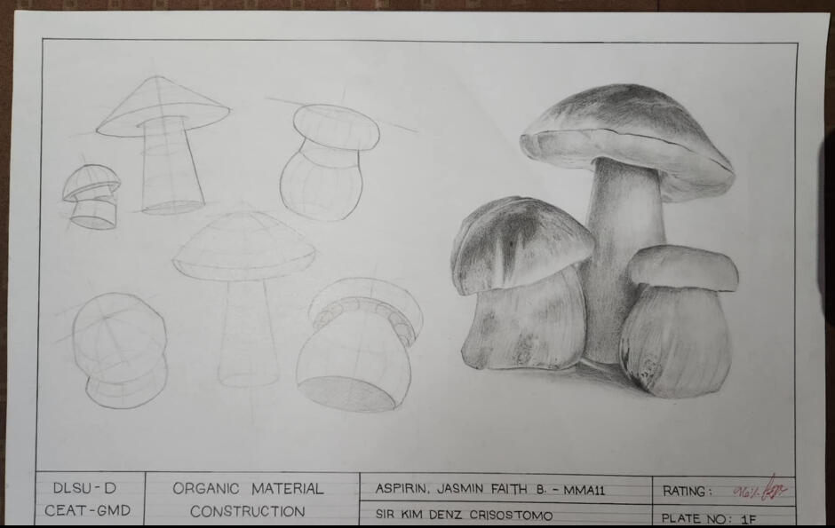 Basic Shapes of Mushrooms
